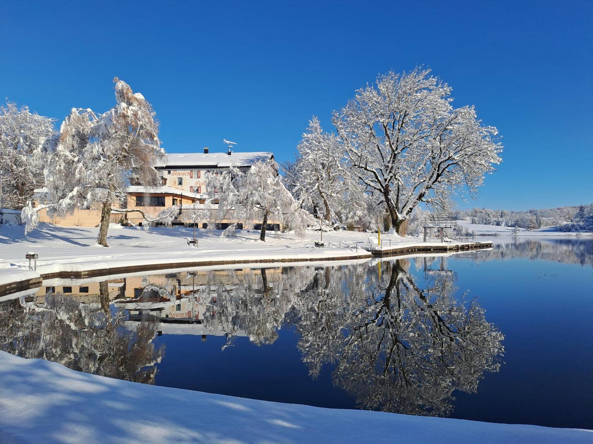 Hotel-Pension Seebad "Seegenuss-Natur-Spa" Sulzberg Exterior foto